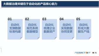 以自動化為核心的自服務大數據治理——普元王軒在第二屆數據標準化及治理大會上的分享
